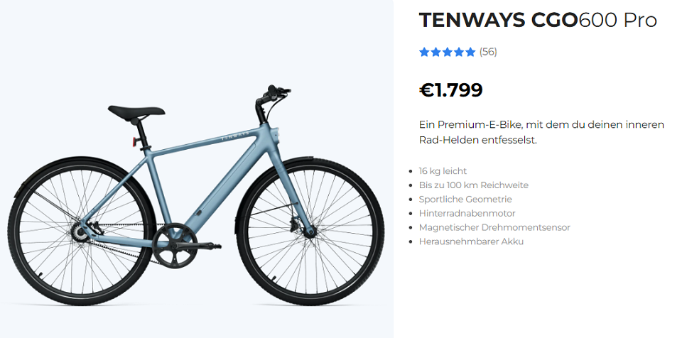 TENWAYS Ebike